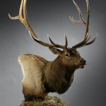Elk Pedestal