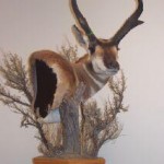 Antelope Pedestal