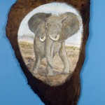 Painted Elephant Ear