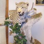 Leopard Pedestal